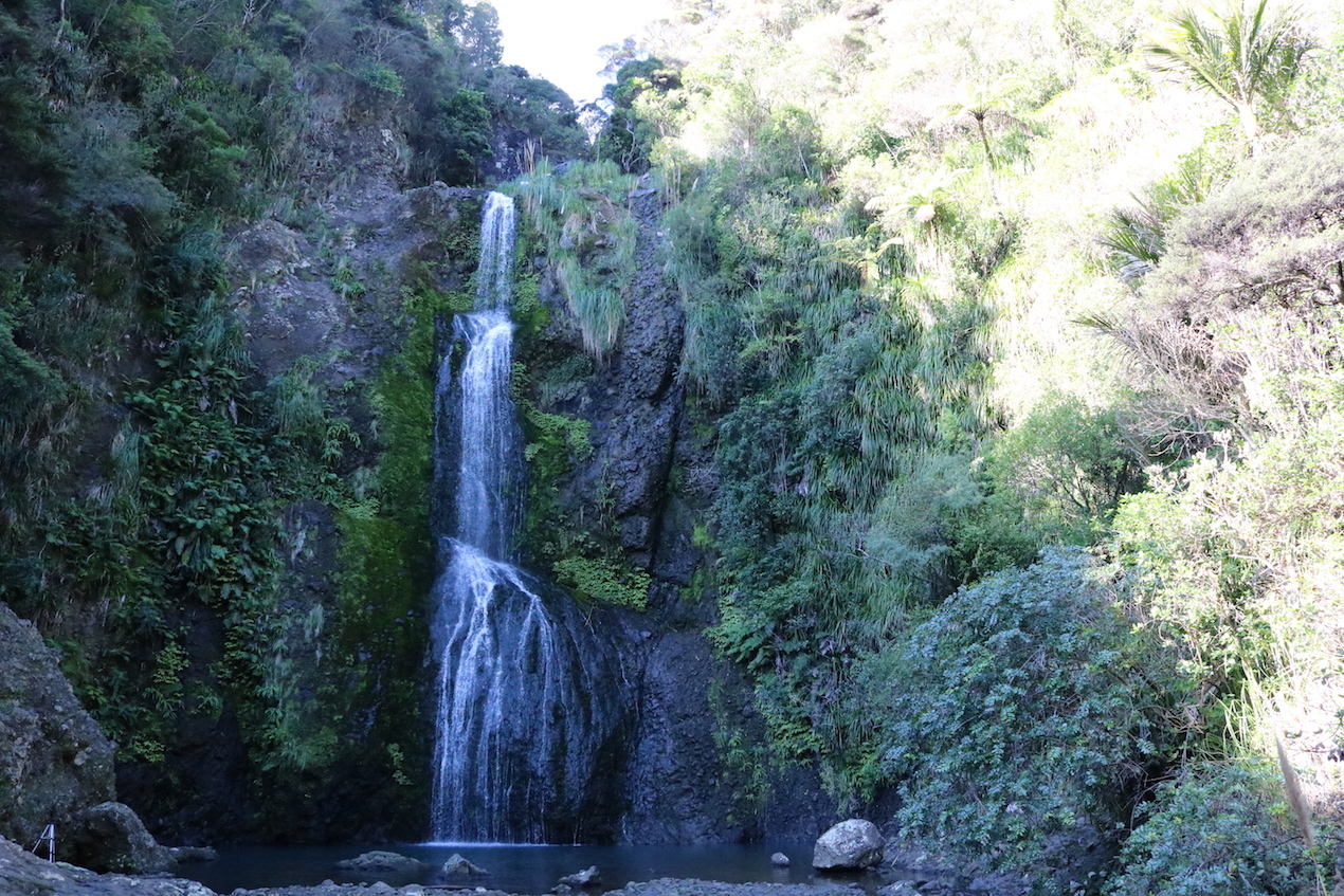 Bush Walk 5