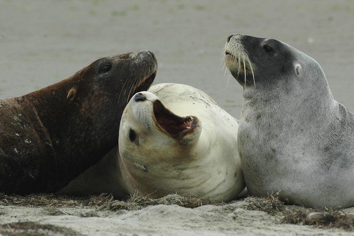 HT Wildlife４