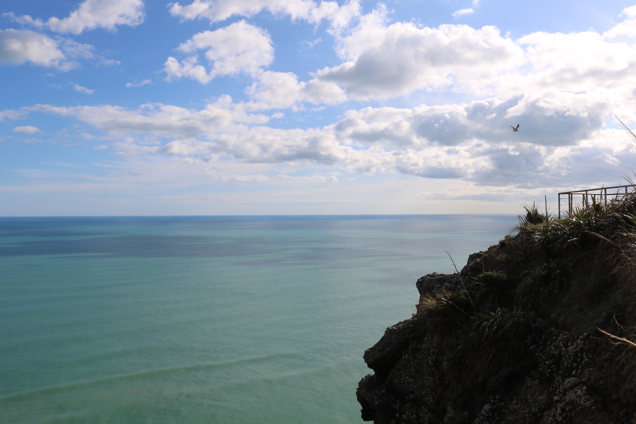 Ocean View 2