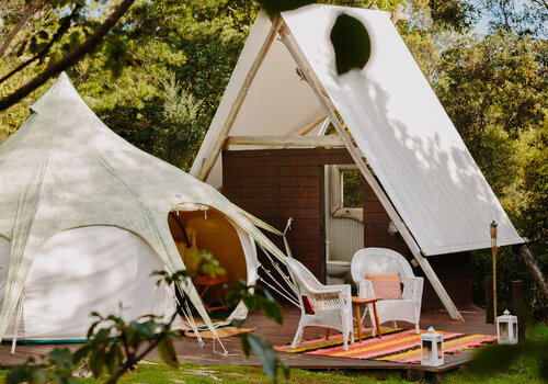 WILD FOREST ESTATE 336