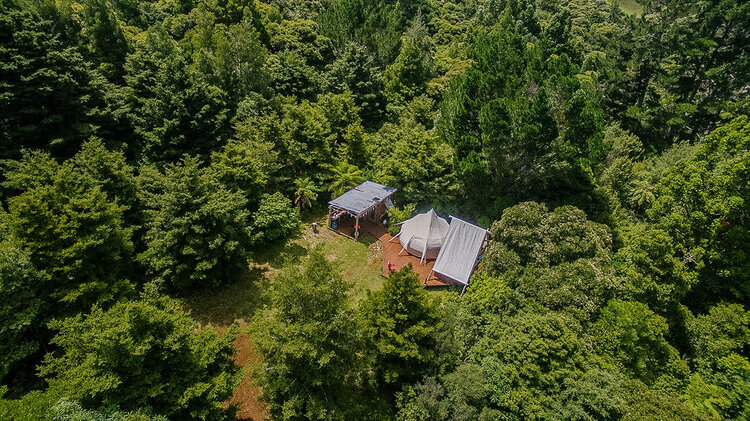 Wild Forest glamping 007