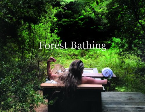 Wild forest glamping 004