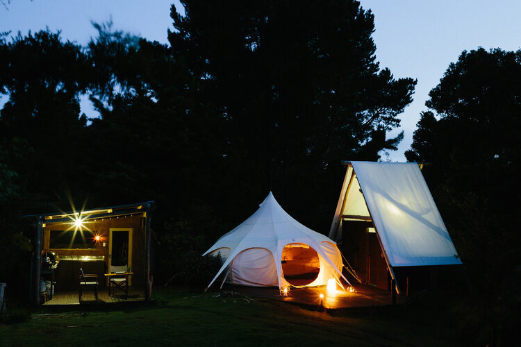 Wild forest glamping 049