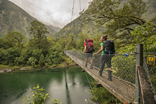 Mt Swing Bridge Ultimate Hikes